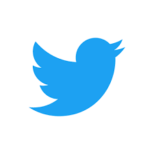 X (Twitter)